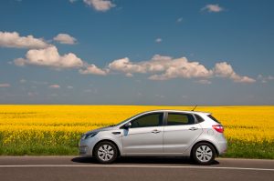 silver kia rio