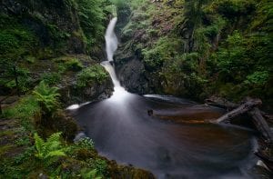 Aira Force