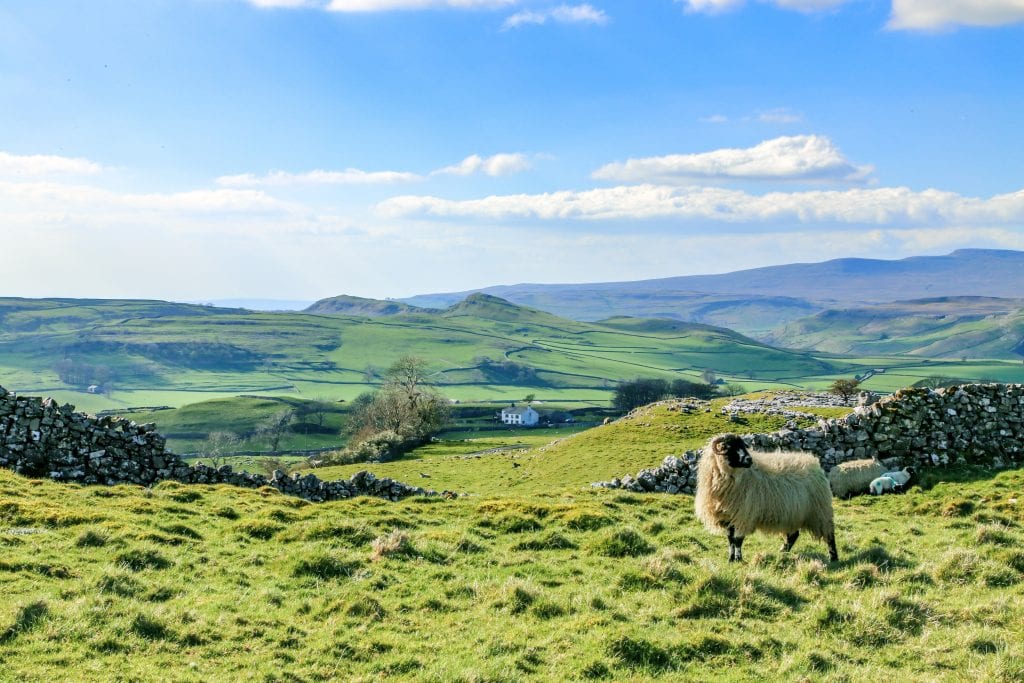 Yorkshire dales