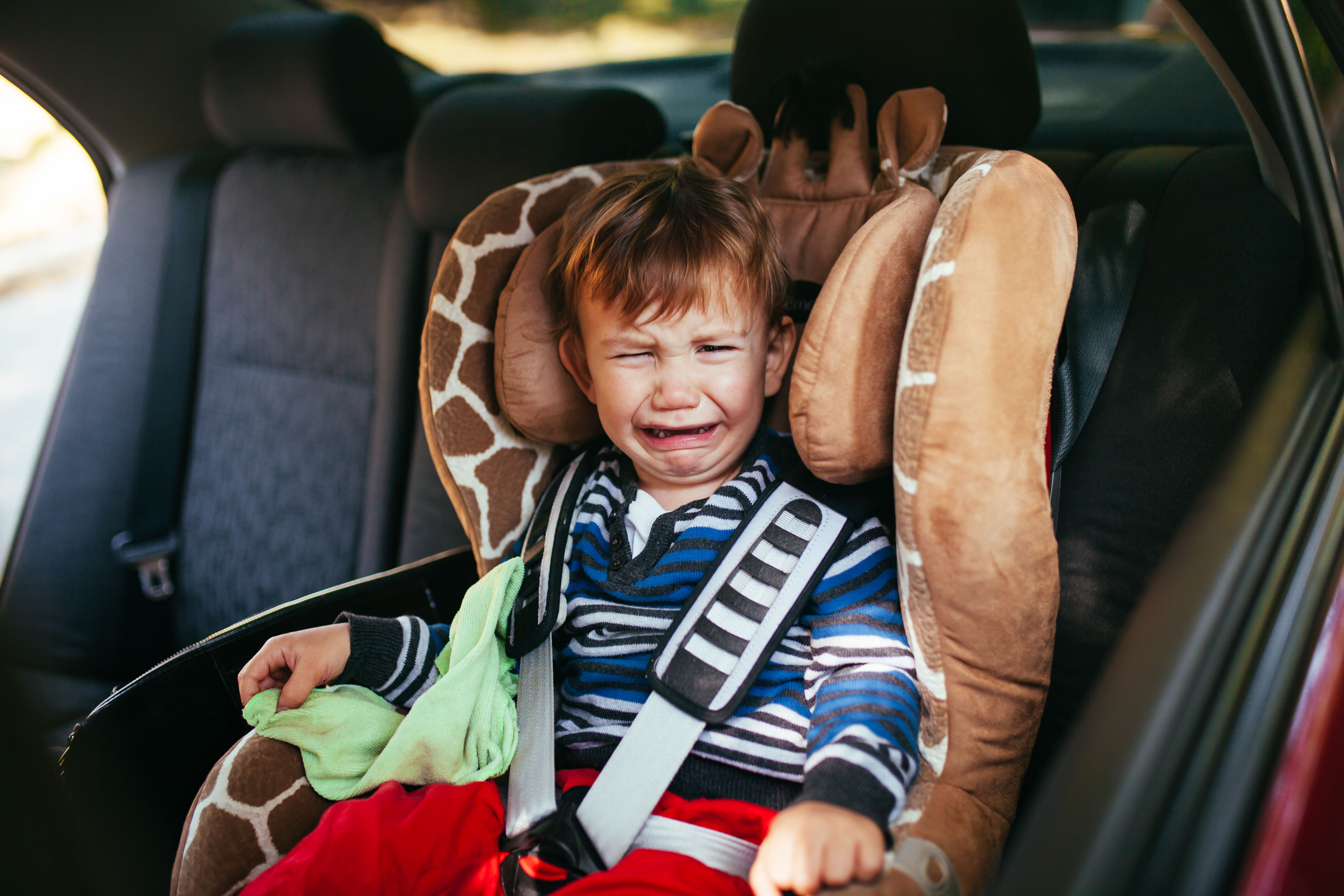Boy in his new child seat