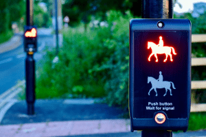 Pegasus crossing Pegasus crossing