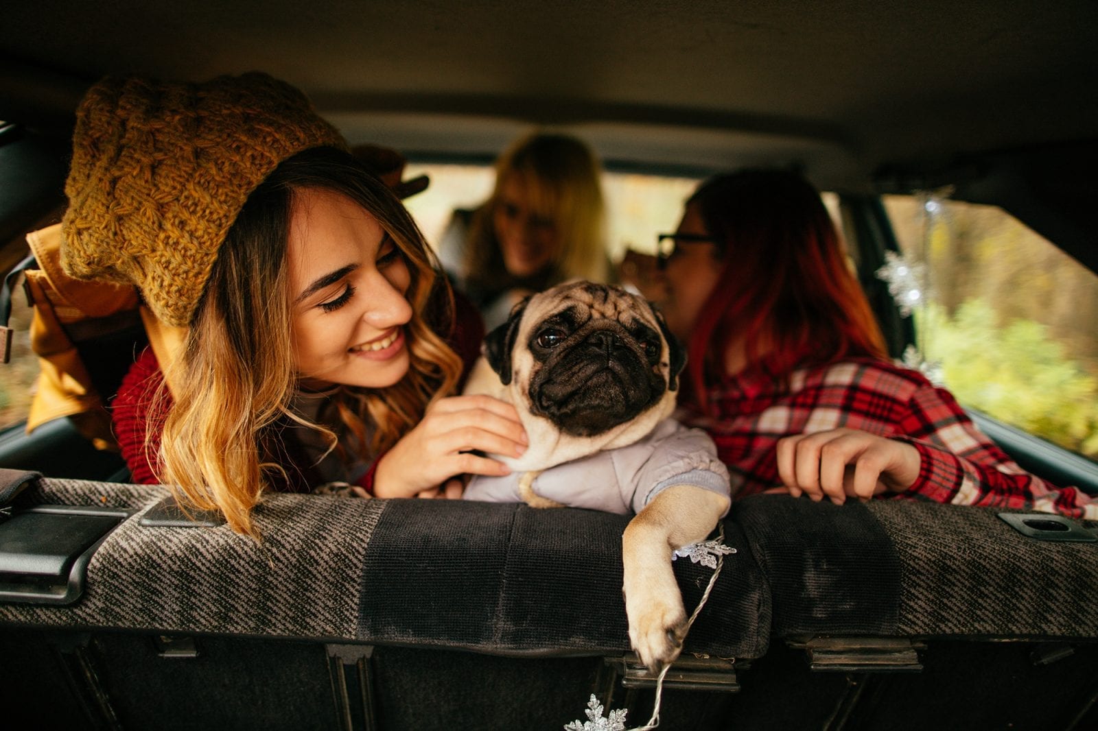 The Best Cars for Dogs and Dog Owners
